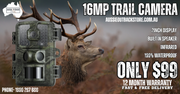 Trail Camera 4K 16MP Wildlife Game Hunting Security Cam PIR Night Vision
