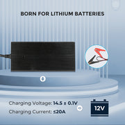 Renogy CORE 12V 20A AC to DC Lithium Battery Charger