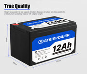 Atem Power 12AH 12V AGM Deep Cycle Battery