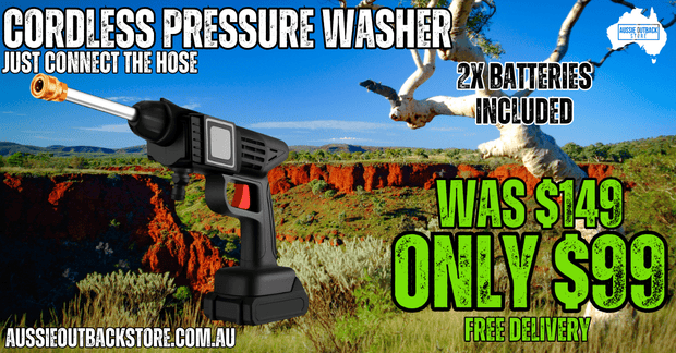 Cordless Electric High Pressure Washer (2 Batteries included)